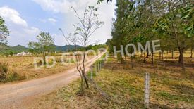 Land for sale in Nong Nam Daeng, Nakhon Ratchasima