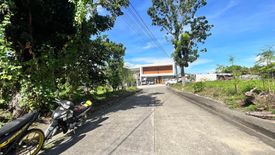 Land for sale in Pulpogan, Cebu