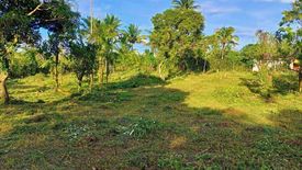 Land for sale in Panungyan II, Cavite