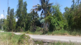 Land for sale in Tubigan, Laguna