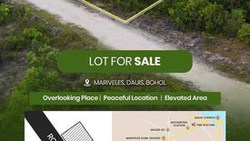 Land for sale in Mariveles, Bohol