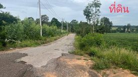 Land for sale in Tum, Nakhon Ratchasima