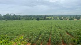 Land for sale in Tum, Nakhon Ratchasima