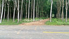 Land for sale in Ban Laeng, Rayong