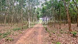 Land for sale in Ban Laeng, Rayong