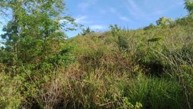 Land for sale in Zaragosa, Cebu