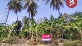 Land for sale in Ngio Ngam, Uttaradit