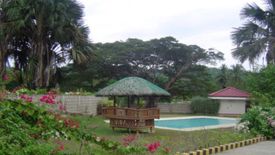 Land for sale in Pulangbato, Cebu