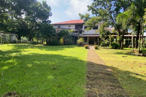 Land for sale in Dolores, Zambales