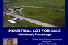 Commercial for sale in San Francisco, Pampanga