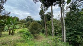 Land for sale in Kampung Gali Tengah, Pahang