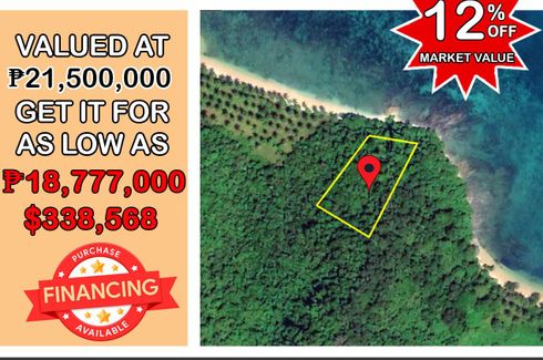 Land for Sale or Rent in Poblacion, Palawan