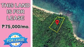Land for Sale or Rent in Poblacion, Palawan