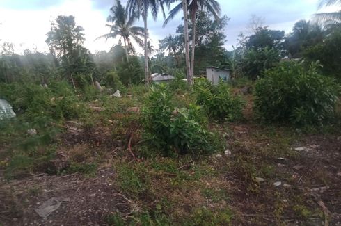 Land for sale in Bitoon, Cebu
