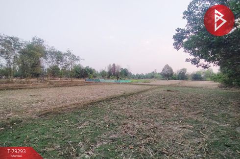 Land for sale in Kham Toei, Nakhon Phanom