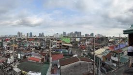 9 Bedroom Apartment for sale in Santa Ana, Metro Manila