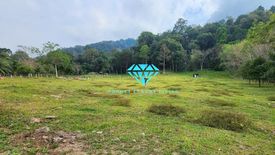 Land for sale in Pa Khlok, Phuket