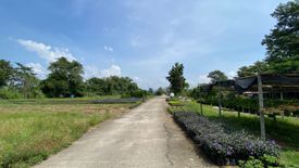 Land for sale in Pa Phai, Chiang Mai