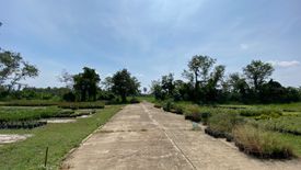 Land for sale in Pa Phai, Chiang Mai