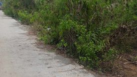 Land for sale in Canamucan, Cebu