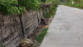 Land for sale in Canamucan, Cebu