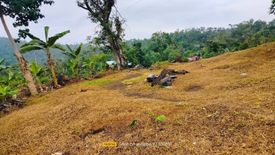 Land for sale in Sirao, Cebu