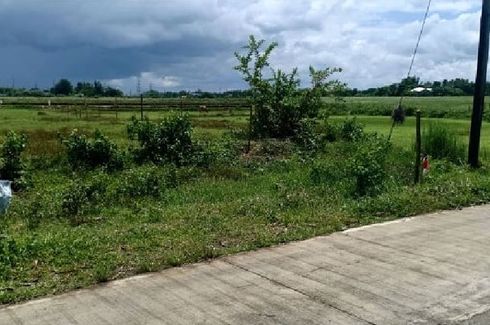 Land for sale in Barasan Este, Iloilo