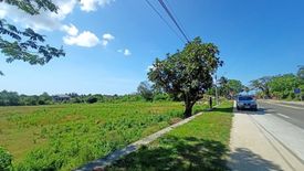 Land for sale in Dakit, Cebu