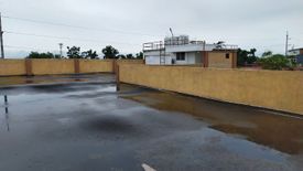 30 Bedroom Commercial for sale in Punta Princesa, Cebu