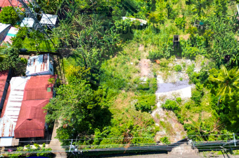 Land for Sale or Rent in San Juan, Camarines Sur