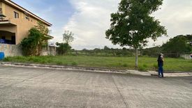 Land for sale in Almanza Dos, Metro Manila