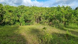 Land for sale in Gotozon, Bohol