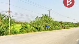 Land for sale in Pa Lao, Phetchabun