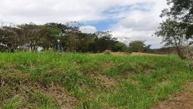 Land for sale in Canlubang, Laguna