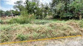 Land for sale in Sak Lek, Phichit