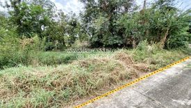 Land for sale in Sak Lek, Phichit