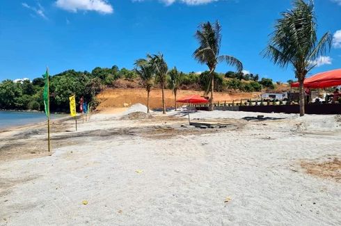Land for sale in Quinawan, Bataan