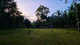 Land for sale in Barake, Palawan