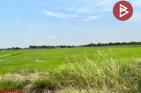 Land for sale in Nong Don, Saraburi