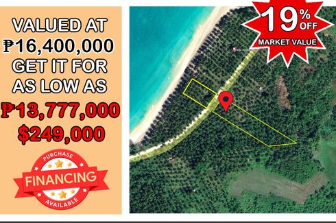 Land for Sale or Rent in Aporawan, Palawan