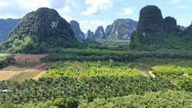 Land for sale in Nong Thale, Krabi