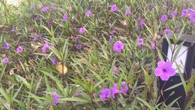 Land for sale in Cabilang Baybay, Cavite