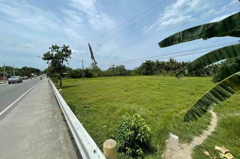 Land for rent in Guinsay, Cebu