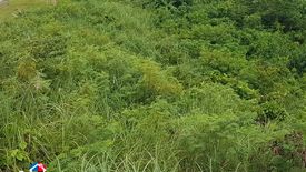 Land for sale in Guadalupe, Cebu