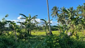 Land for sale in Lutucan 1, Quezon