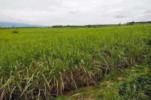 Land for sale in Zone IV, Oriental Mindoro