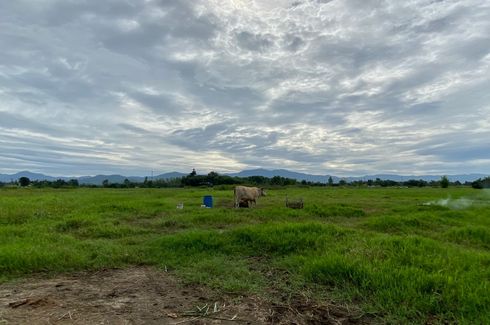 ขายที่ดิน ใน แช่ช้าง, สันกำแพง