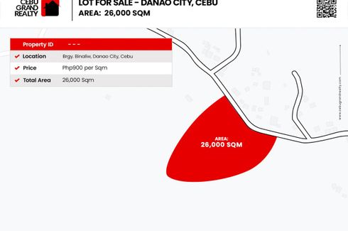 Land for sale in Binaliw, Cebu