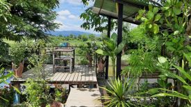 3 Bedroom Commercial for sale in San Pong, Chiang Mai