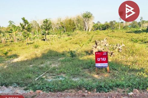 Land for sale in Ban Lamnao, Nakhon Si Thammarat